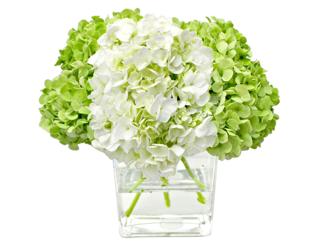 Florist Flower in Vase - Hydrangea Florist Vase Decor H12 - L3135363 Photo