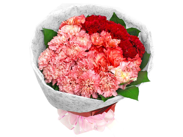 Hong Kong mother's day Florist Flower Bouquet - 30 Carnations Bouquet - L06846 Photo